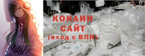 spice Алзамай